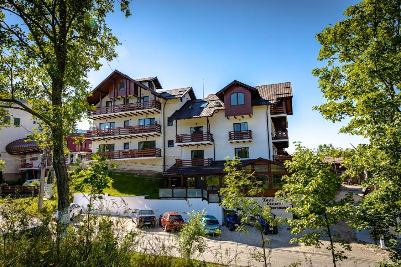 Yael Luxury Apartments 2 Busteni Bagian luar foto