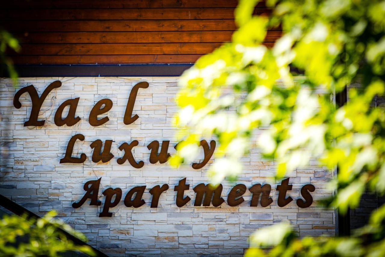 Yael Luxury Apartments 2 Busteni Bagian luar foto