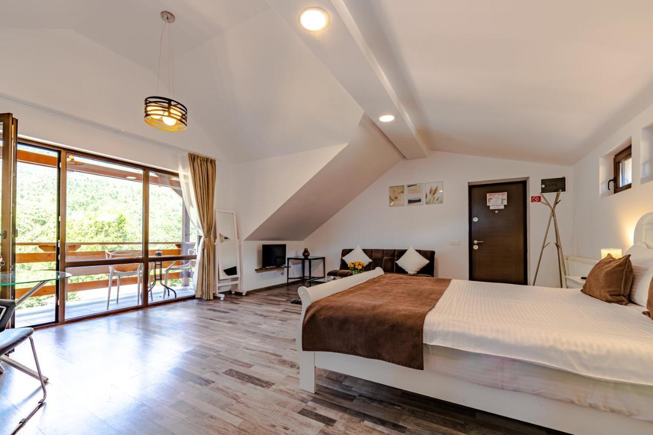 Yael Luxury Apartments 2 Busteni Bagian luar foto