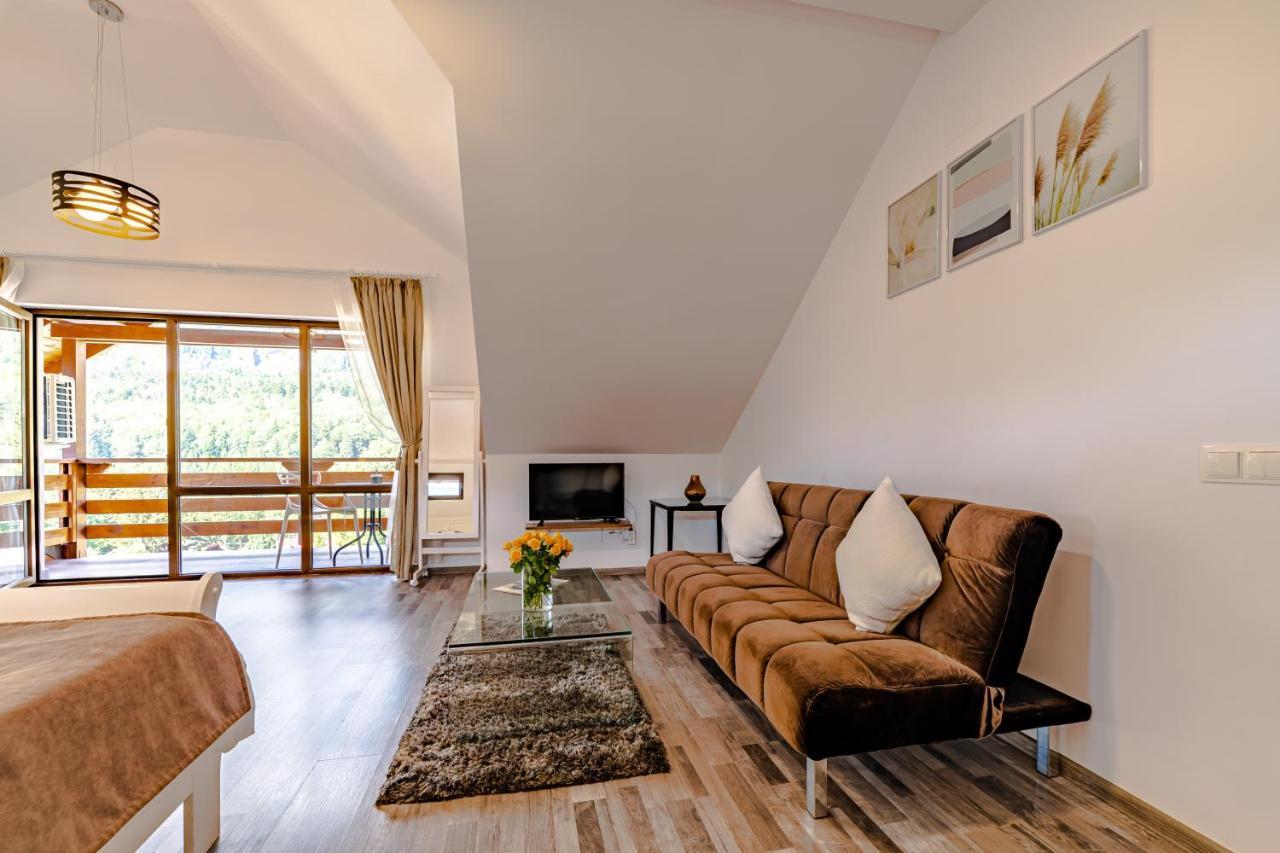 Yael Luxury Apartments 2 Busteni Bagian luar foto