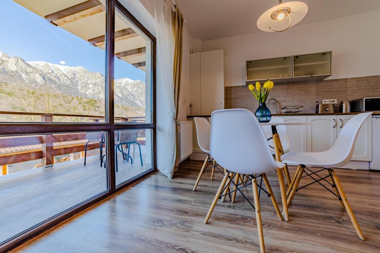 Yael Luxury Apartments 2 Busteni Bagian luar foto
